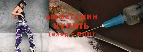 дурь Краснослободск