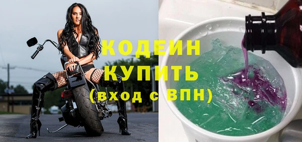 дурь Краснослободск
