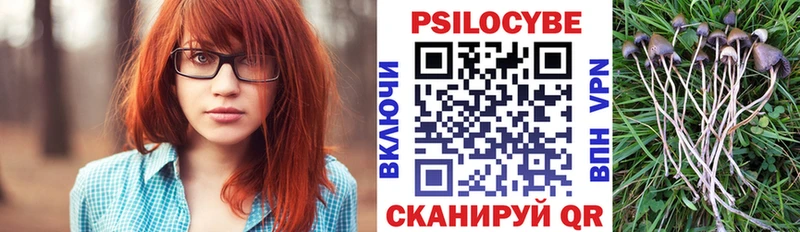 hydra ссылка  Липки  Галлюциногенные грибы Psilocybine cubensis 